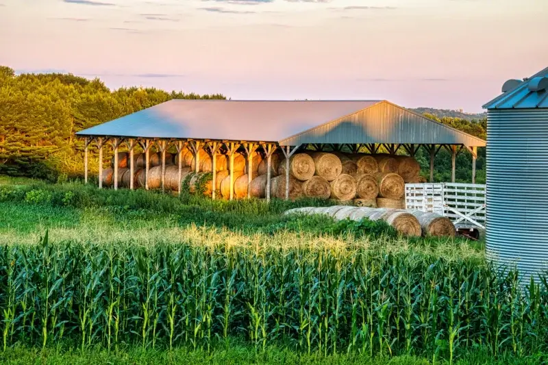 Bolsa para silo, forraje seguro