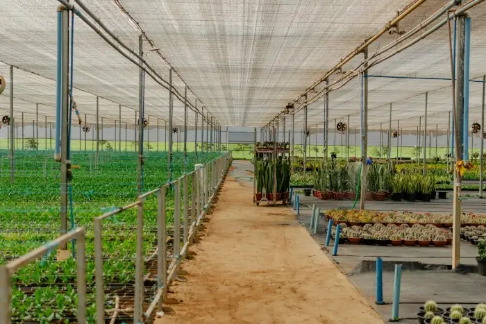 Polisombra para agricultura